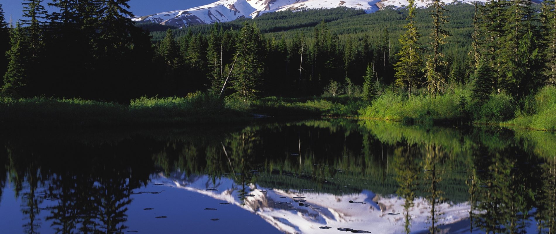 Mount_Hood_reflected_in_Mirror_Lake,_Oregon